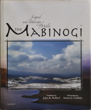 Mabinogi book